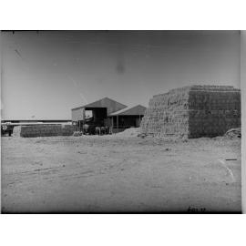 Roseworthy Agricultural College 