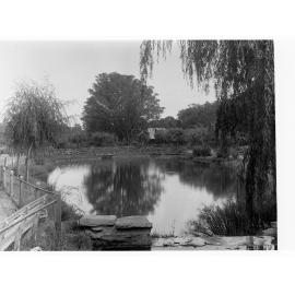 Botanic Gardens Pond