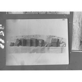 Samples of Leigh Creek Coal including briquettes