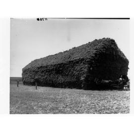 Turretfield, Government Stud Farm showing large stack of hay