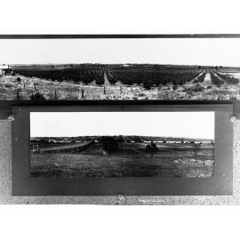 Panoramic Views of Murray Bridge