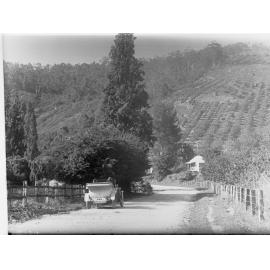 Car Driving Down Road, Mount Lofty Ranges