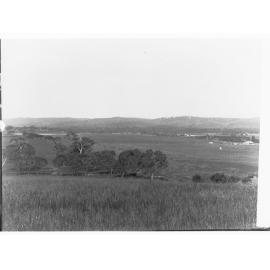 Rural view of Happy Valley - trees and fences and farmhouse in distance