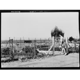 Tennis Courts - Whyalla