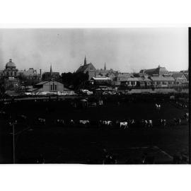 Live stock being exhibited for the Grand Parade at the Royal Adelaide Show
