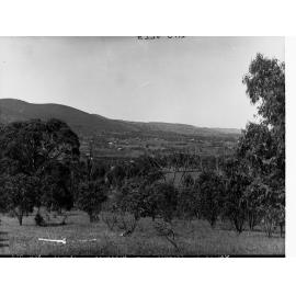 Torrens Gorge Area Near Athelstone