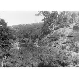 River Torrens at Junction with Chain of Ponds Creek