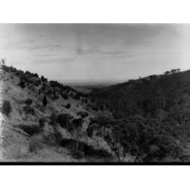Blackwood View