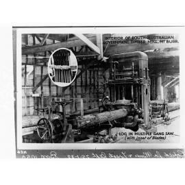 Interior of South Australian Government Timber Mill - Mount Burr