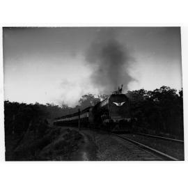 Centenary Railway Locomotive in the hills