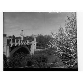 City Bridge and Blossoms