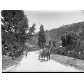 Orchards 