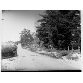 Road Near Macclesfield