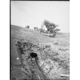 View of mine entrance at  Wheal Ellen, near Strathalbyn.