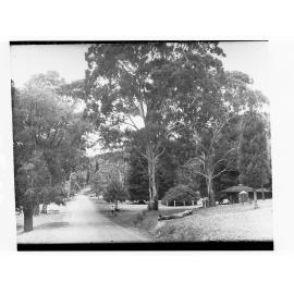 Belair National Park