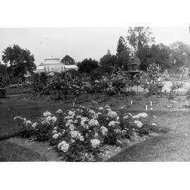 Botanic Gardens Showing Palm House and Rose Garden