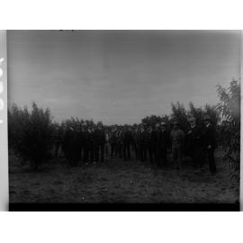 Group of men in Kingston orchard