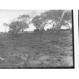 Torrens Floodwater Scheme