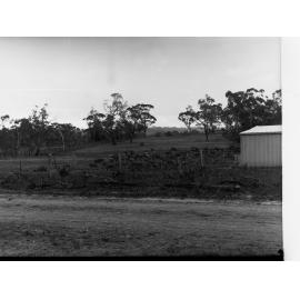 Echunga Poultry Settlement