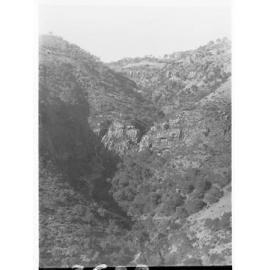 Morialta Reserve