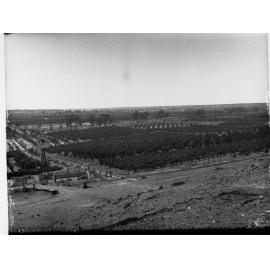 Orchards and Vineyards at Cadell