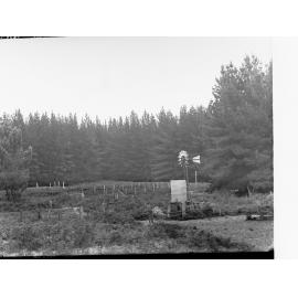 MISSING FROM ACCESSION NUMBER CATALOGUE|Mount Burr Forest