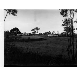 Bridgewater Poultry Settlement