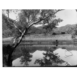 Aroona Water Flinders Ranges Showing Cart and Horses and a River With a Man Bending to Drink