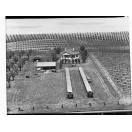 Adelaide Exhibition - Department of Lands Display - Irrigation Branch - model of a farm