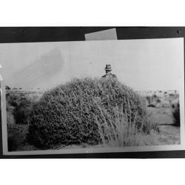 Man Standing Behind Large Bush in Desert
