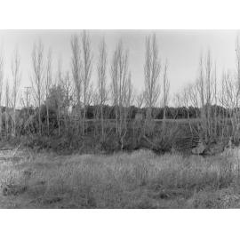 Soil Erosion, River Torrens