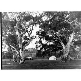Wilpena Homestead - Flinders Ranges