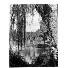 Woman Sitting by the Pond 