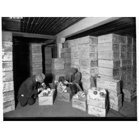 Port Adelaide Government Export Depot Inspecting Fruit