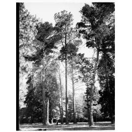 Botanic Gardens