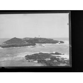 Penguin Island 