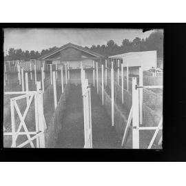 Fowl pen at Roseworthy Agricultural College