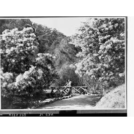 Two Men Standing on a Bridge in Morialta