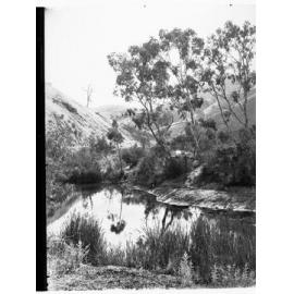 Torrens Gorge Road