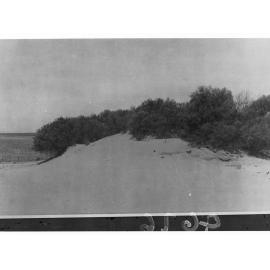Desert Scene