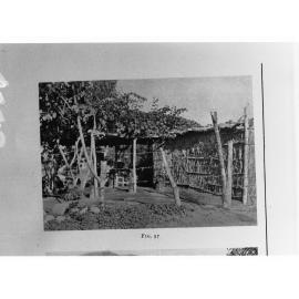 Garden in South America
