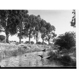 North Para Creek Tanunda, South Australia
