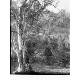 View of Flinders Ranges