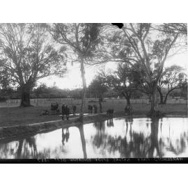 Hazelwood Park