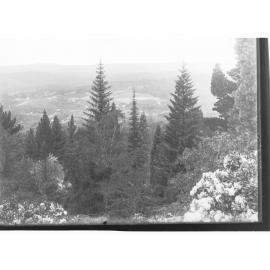 Piccadilly Valley viewed from 'Carminow'