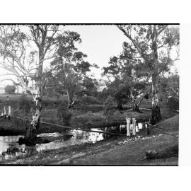Suspension Bridge Over Willochra Creek Melrose