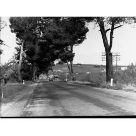 Road at Reynella