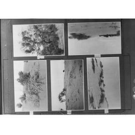 Desert Scenes