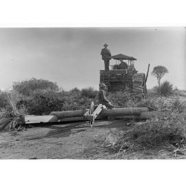 Men clearing bushland