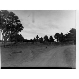 Engineering and Water Supply - Farm Sheds at Williamstown